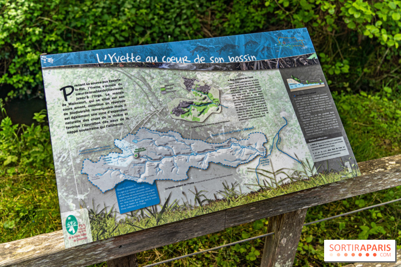 Sentier découverte de Maincourt - Vallée de Chevreuse -  A7C4058