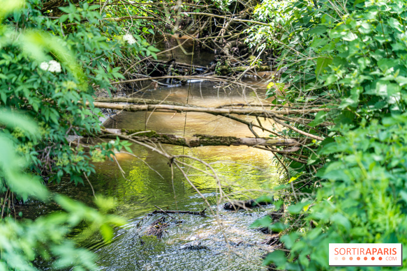 Sentier découverte de Maincourt - Vallée de Chevreuse -  A7C4065
