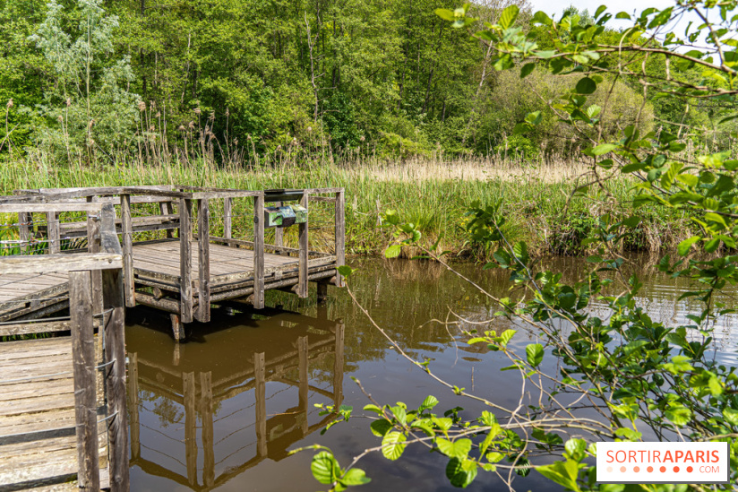 Sentier découverte de Maincourt - Vallée de Chevreuse -  A7C4066
