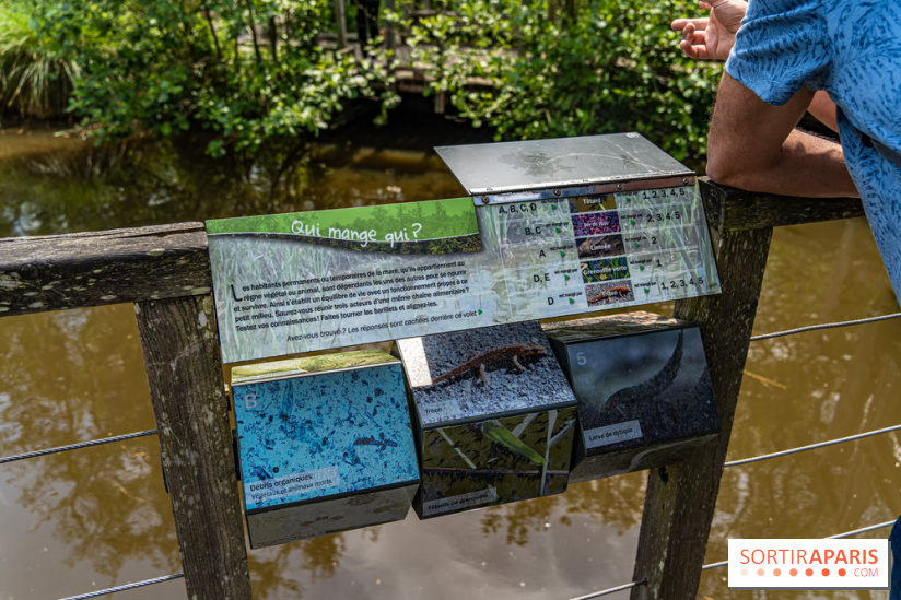 Sentier découverte de Maincourt - Vallée de Chevreuse -  A7C4067