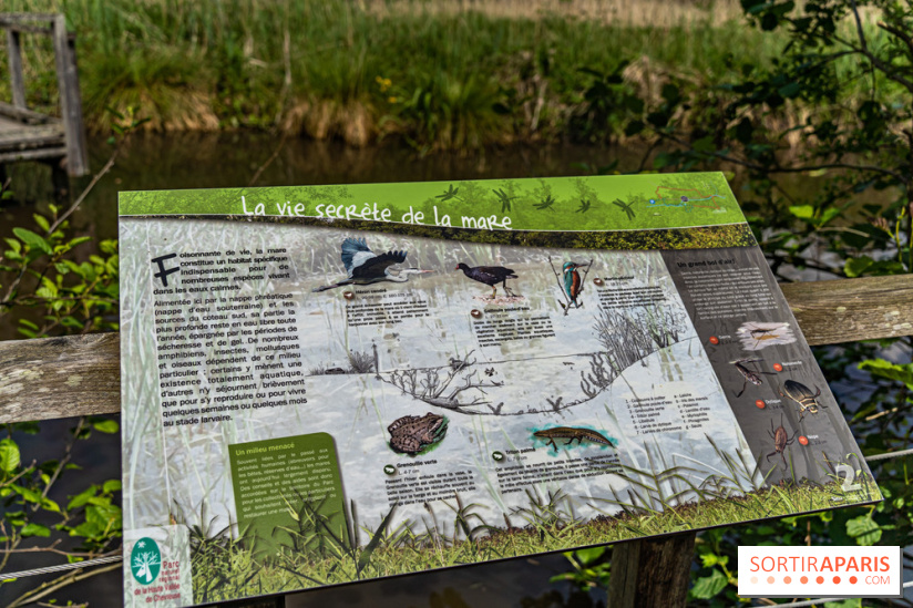 Sentier découverte de Maincourt - Vallée de Chevreuse -  A7C4079