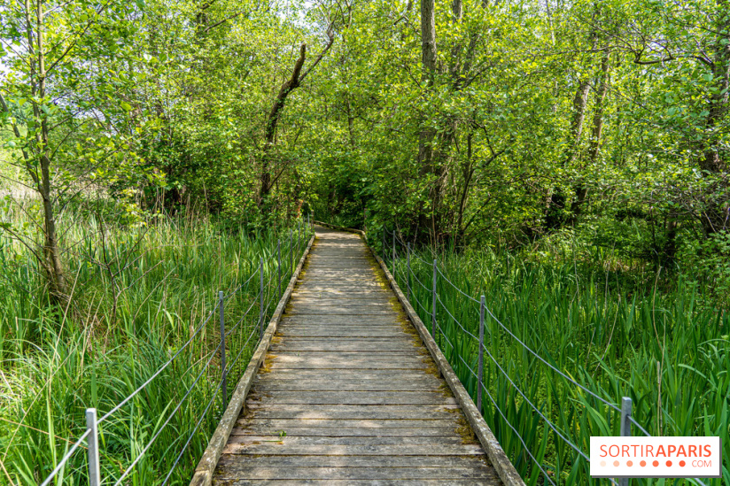 Sentier découverte de Maincourt - Vallée de Chevreuse -  A7C4080
