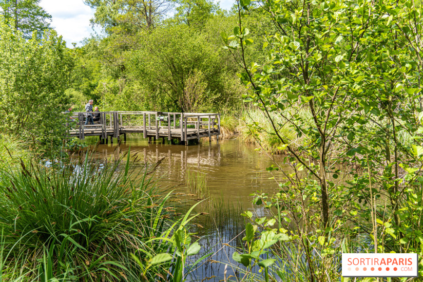 Sentier découverte de Maincourt - Vallée de Chevreuse -  A7C4081