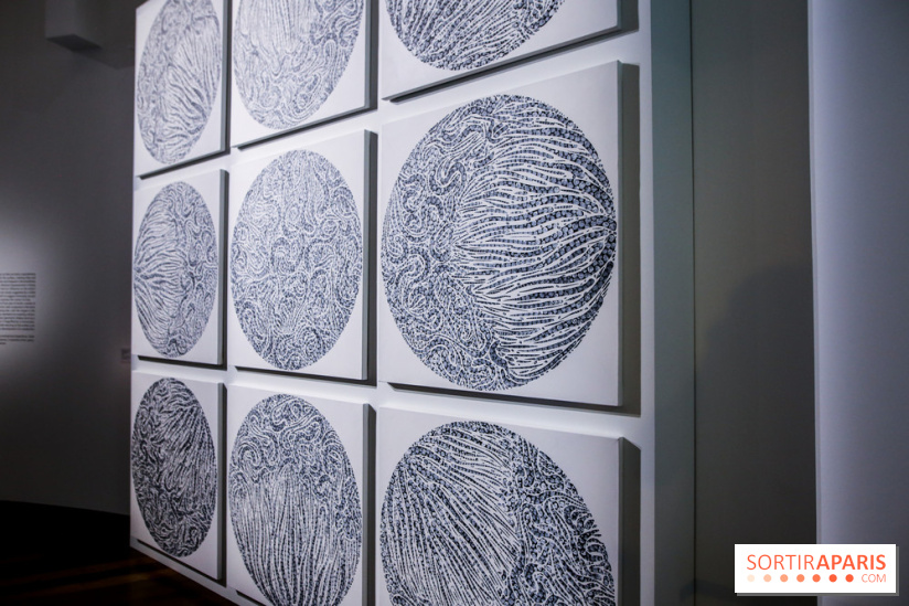Carte blanche à Park Dong Soo au musée Guimet, nos photos