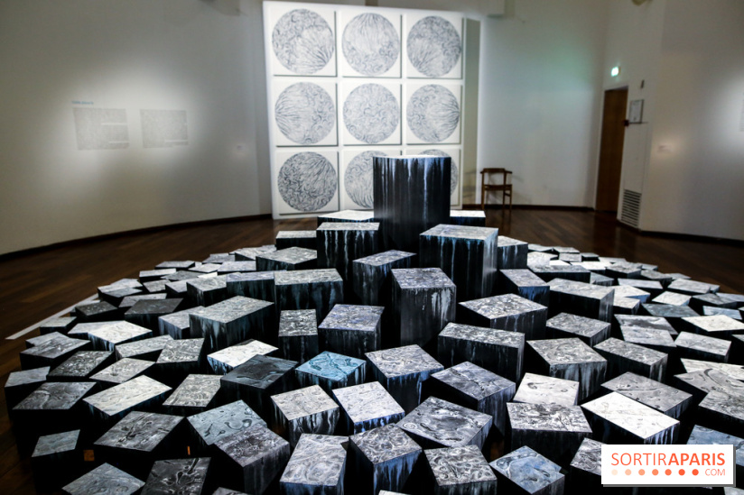 Carte blanche à Park Dong Soo au musée Guimet, nos photos