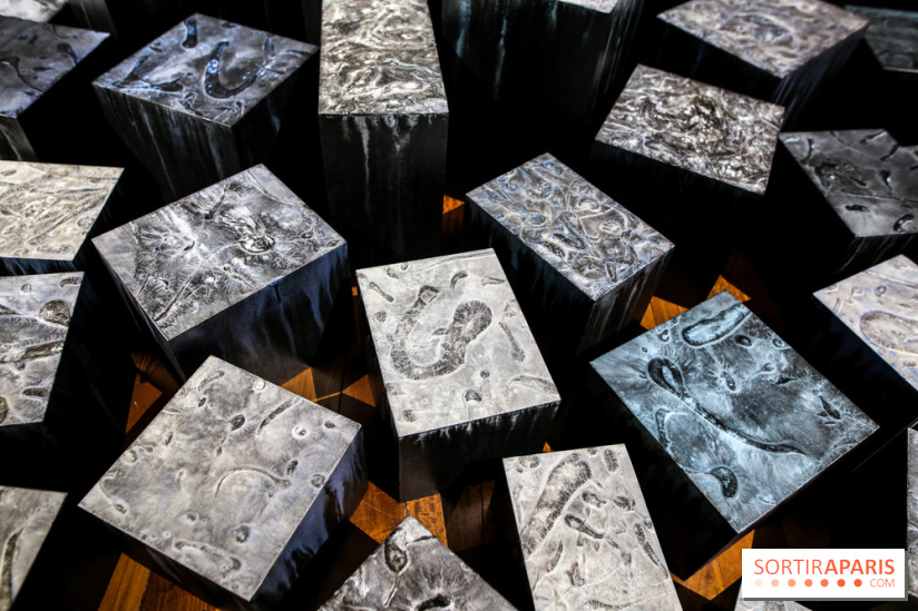 Carte blanche à Park Dong Soo au musée Guimet, nos photos - IMG 0099