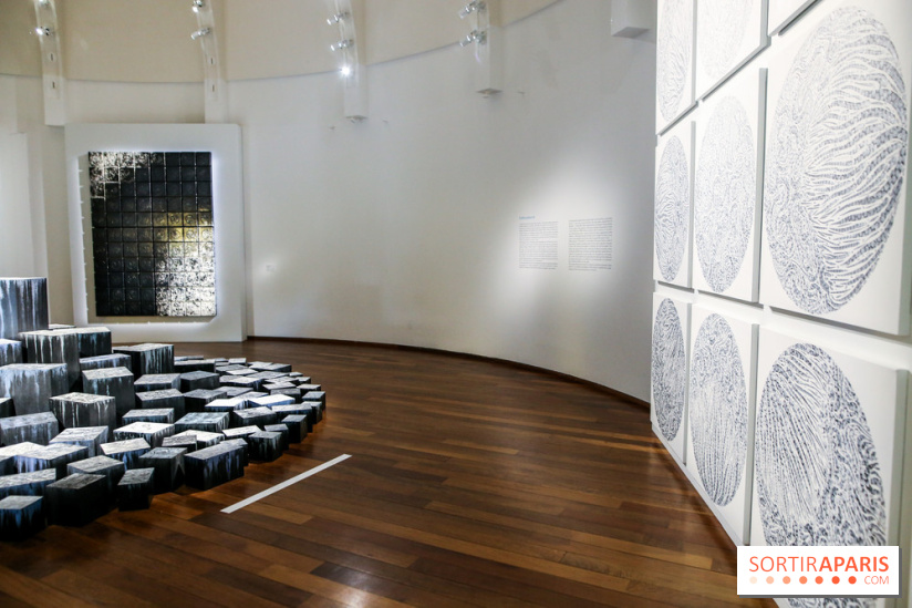 Carte blanche à Park Dong Soo au musée Guimet, nos photos