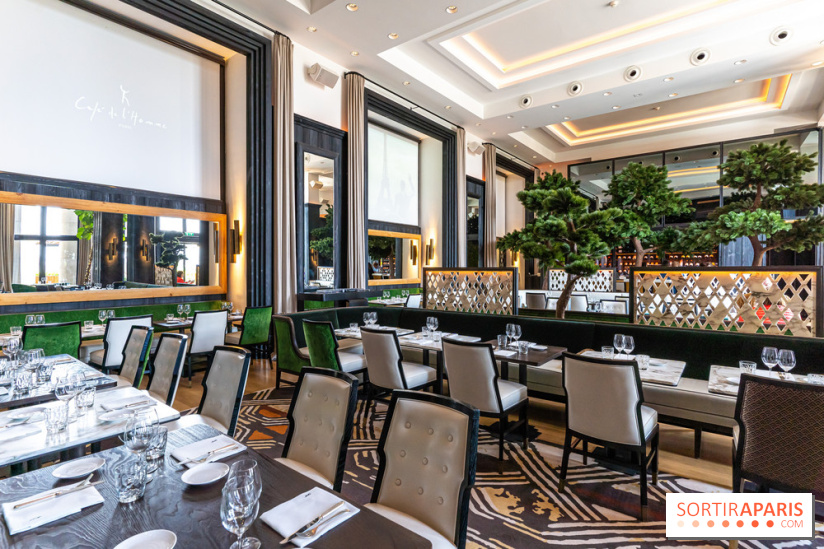 Le Café de l'Homme rouvre ses portes avec une nouvelle déco et une nouvelle carte gourmande
