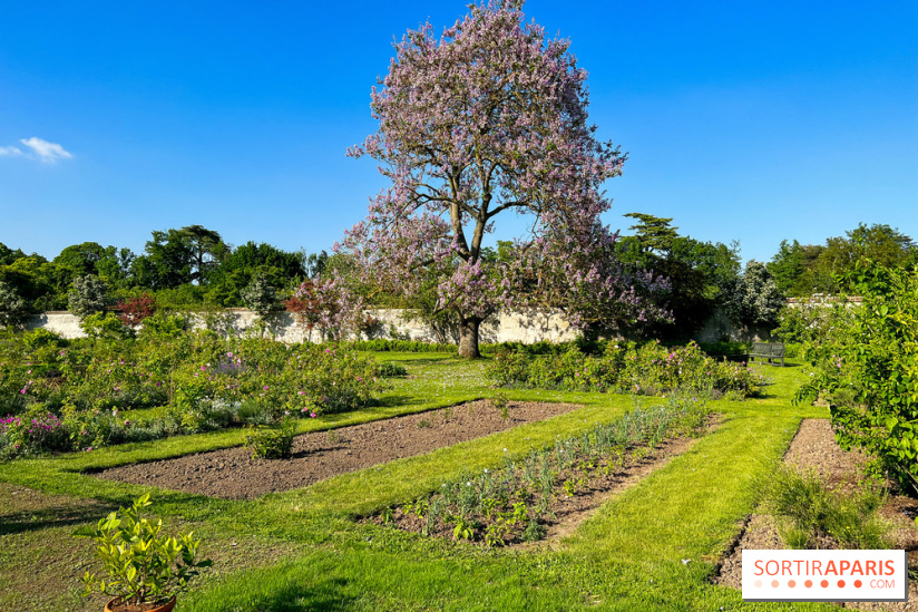 Le Jardin du Parfumeur à Versailles