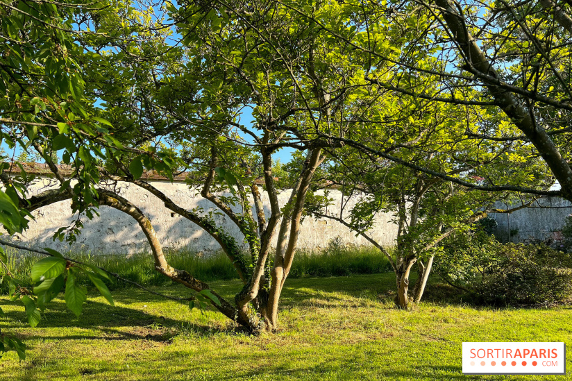 Le Jardin du Parfumeur à Versailles - image00010