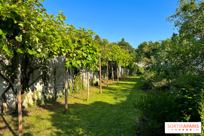 Le Jardin du Parfumeur à Versailles