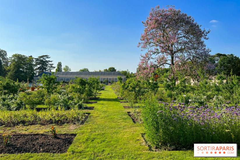 Le Jardin du Parfumeur à Versailles - image00012