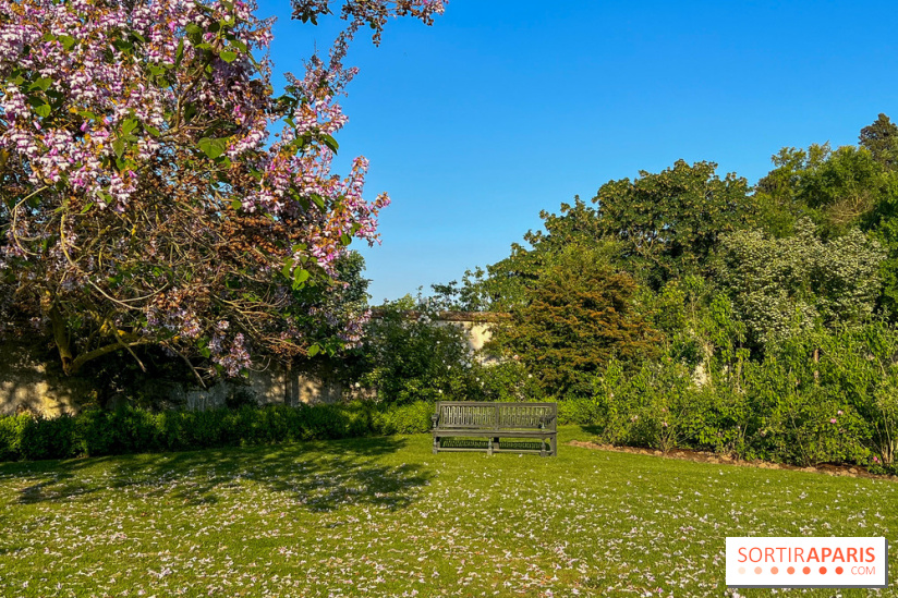 Le Jardin du Parfumeur à Versailles - image00020