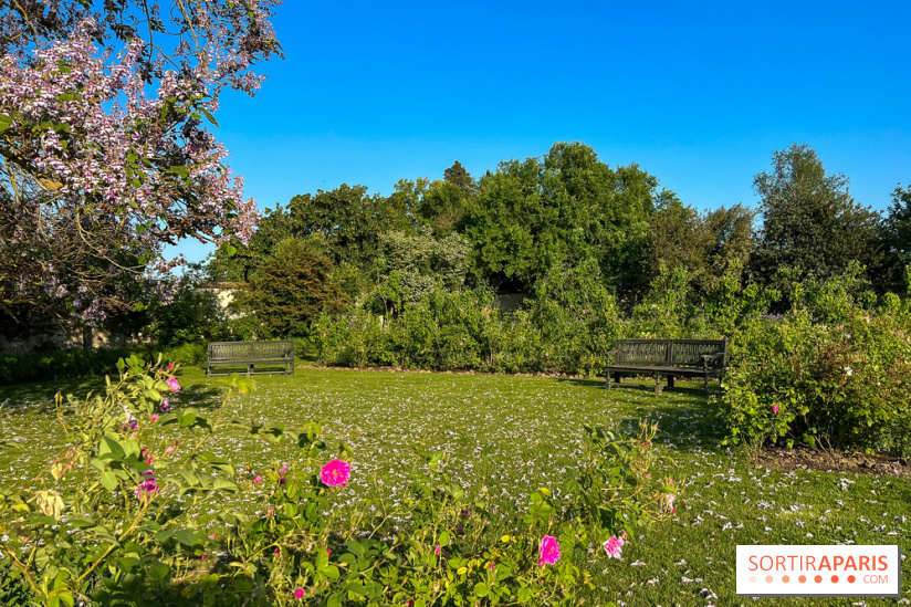 Le Jardin du Parfumeur à Versailles - image00021