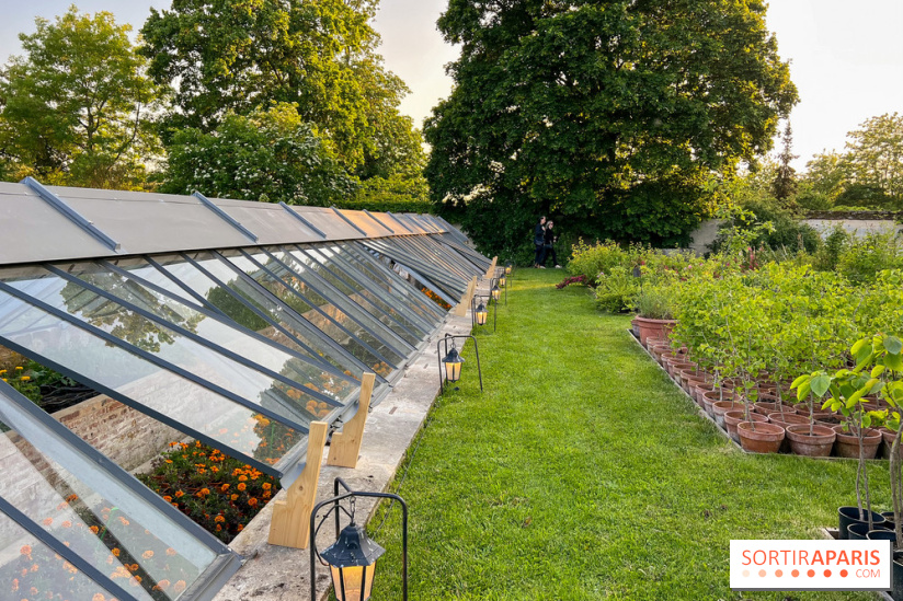 Le Jardin du Parfumeur à Versailles - image00023