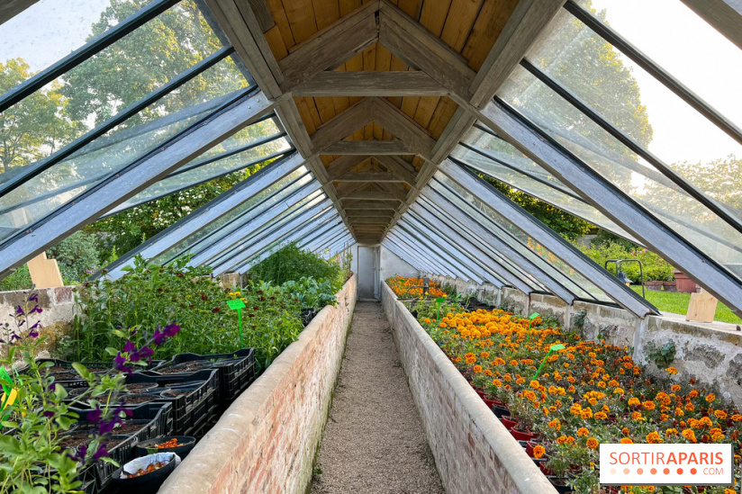 Le Jardin du Parfumeur à Versailles - image00025
