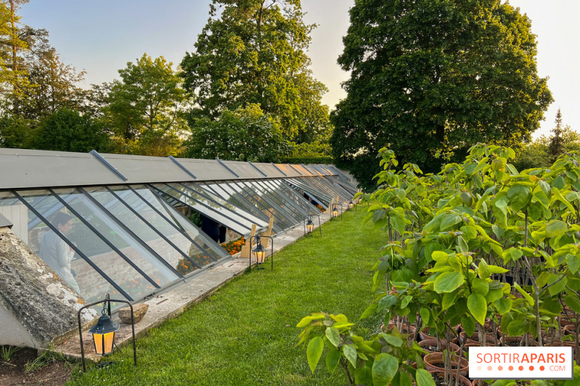 Le Jardin du Parfumeur à Versailles - image00027