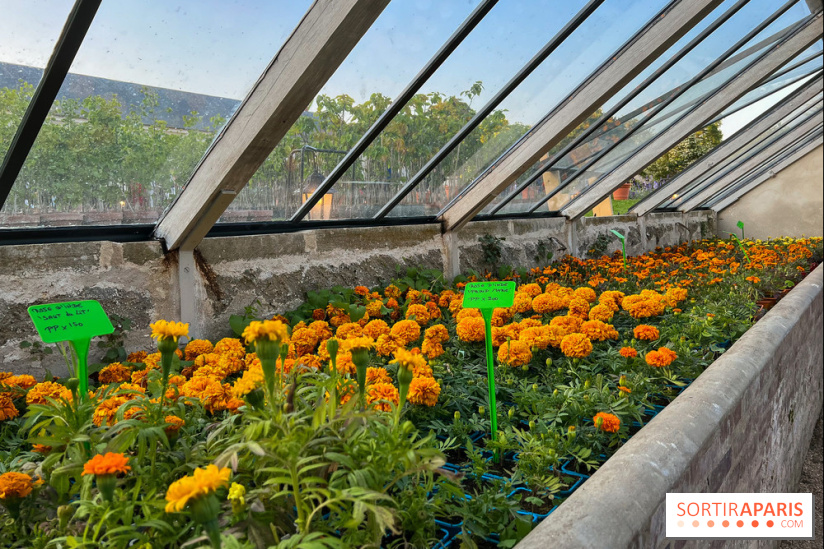 Le Jardin du Parfumeur à Versailles - image00030