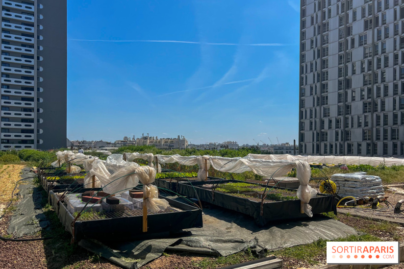 Les toits de Beaugrenelle