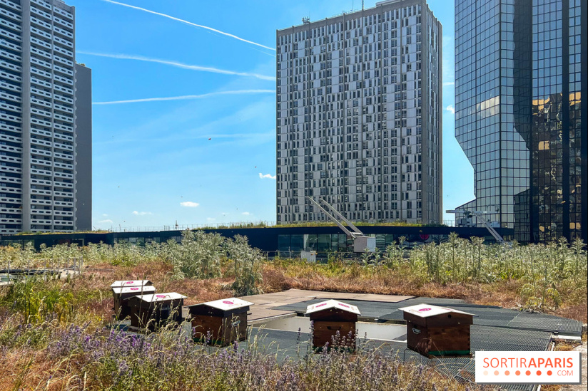 Les toits de Beaugrenelle