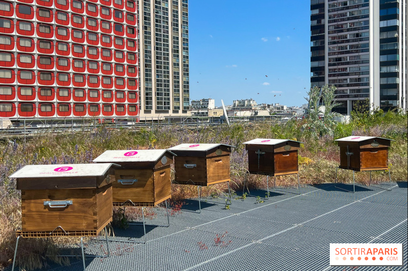 Les toits de Beaugrenelle