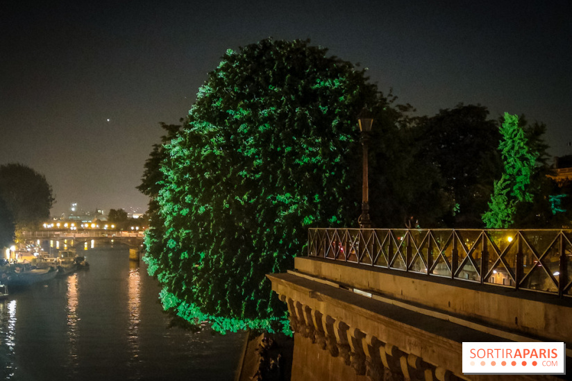 Nuit Blanche 2023 : des projections lumineuses magiques au Square du Vert Galant de l'Île de la Cité