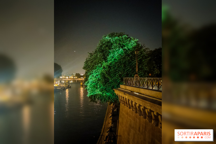 Nuit Blanche 2023 : des projections lumineuses magiques au Square du Vert Galant de l'Île de la Cité