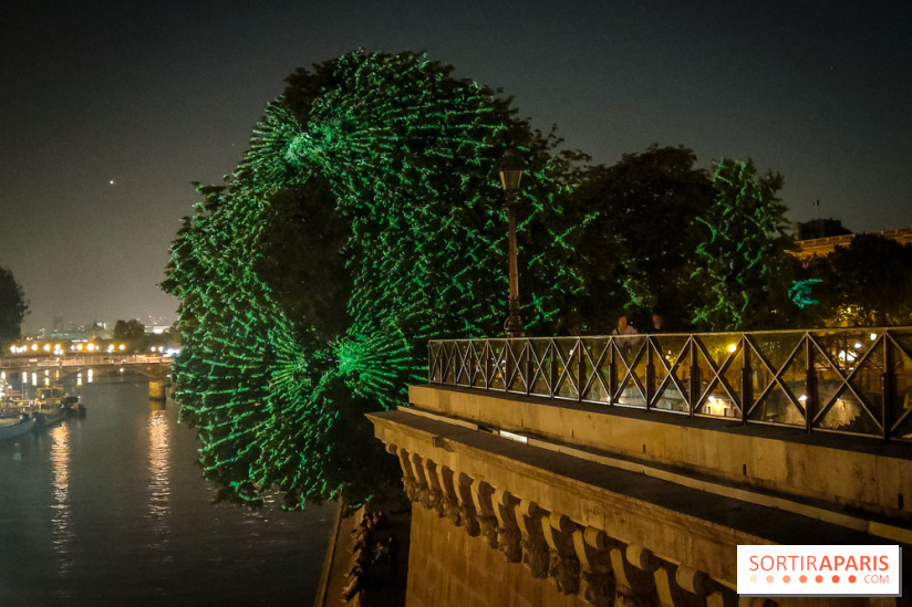 Nuit Blanche 2023 : des projections lumineuses magiques au Square du Vert Galant de l'Île de la Cité