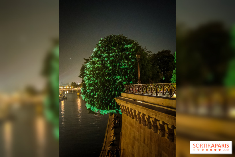 Nuit Blanche 2023 : des projections lumineuses magiques au Square du Vert Galant de l'Île de la Cité