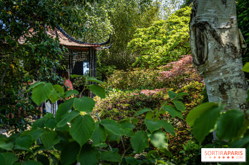 Les Jardins de Sonja au Perray-en-Yvelines -  A7C4925