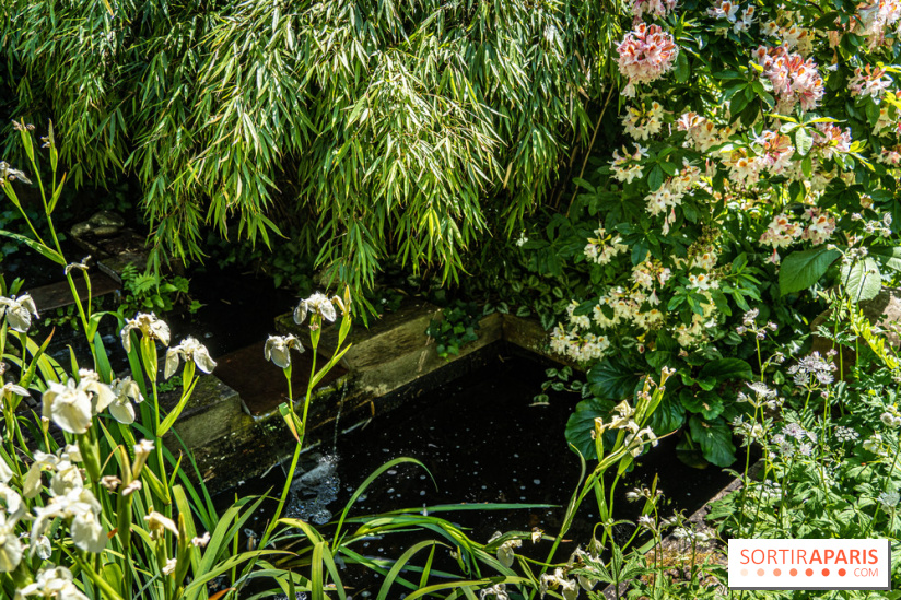 Les Jardins de Sonja au Perray-en-Yvelines -  A7C4935