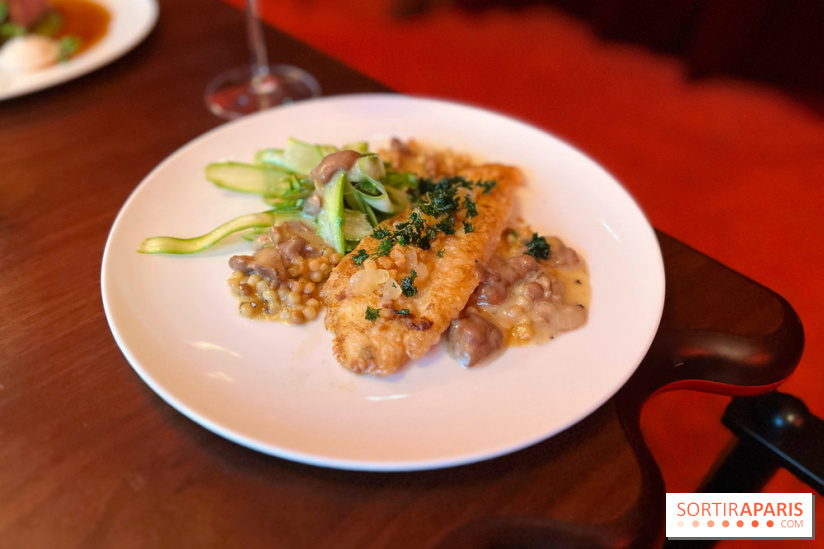 Mistinguett - Filet de Saint-Pierre