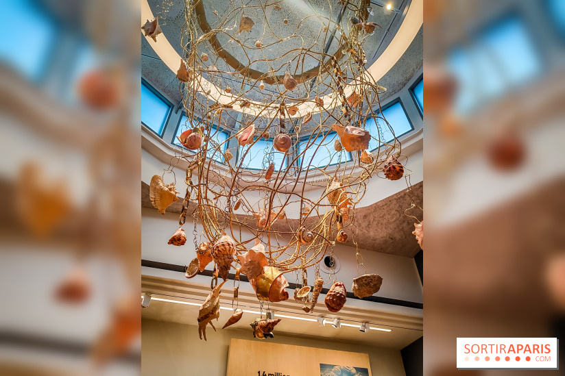 Musée de l'histoire de l'immigration : un musée pédagogique pour voir l'Histoire de France autrement - collections permanentes