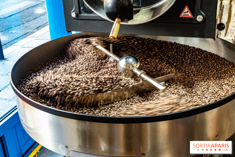 Blondie - coffee shop - torréfacteur  -  A7C5671