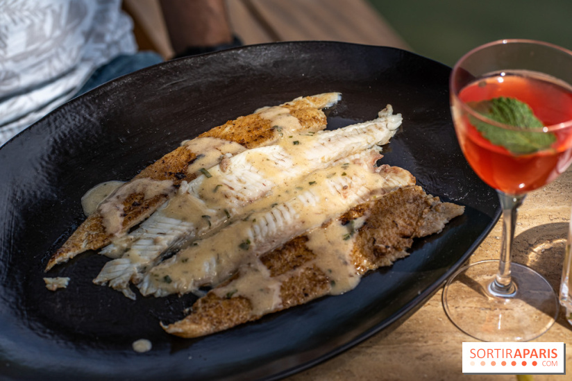 Perchoir Y, restaurant par Guillaume Sanchez et guinguette en forêt -  A7C5807