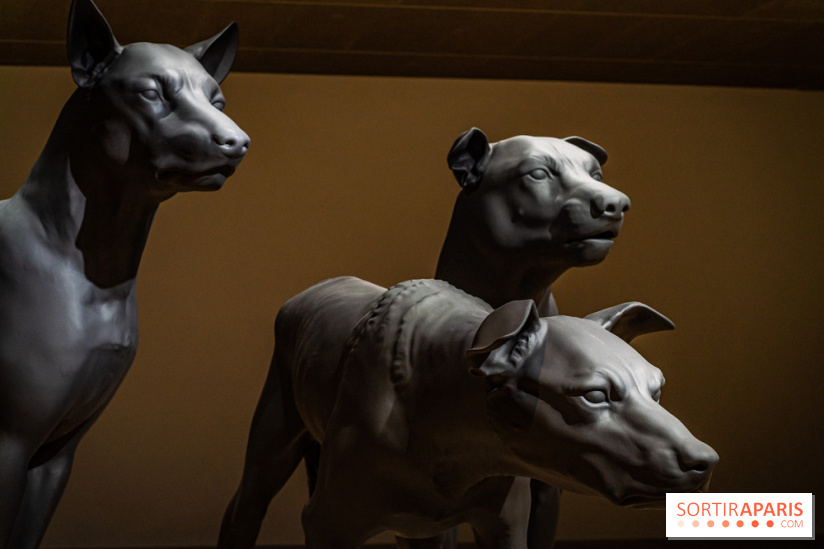 Exposition Ron Mueck à la Fondation Cartier 2023 -  A7C6436