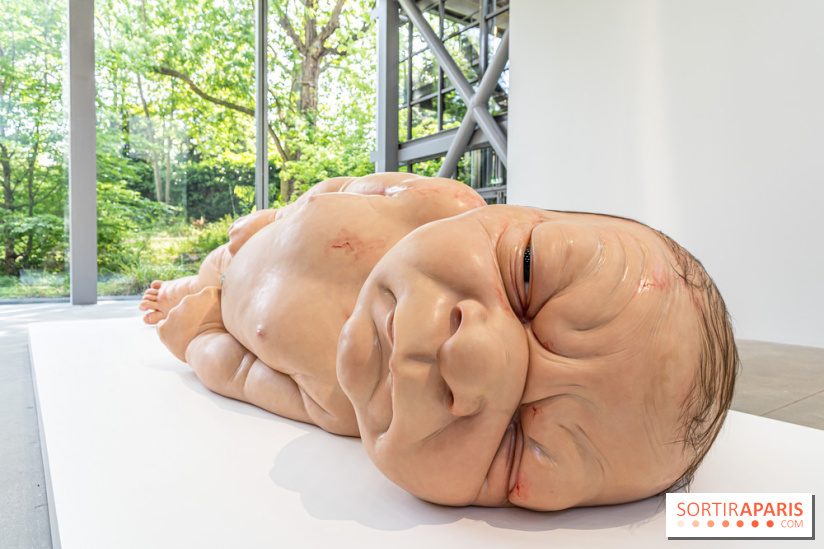 Exposition Ron Mueck à la Fondation Cartier 2023 -  A7C6378