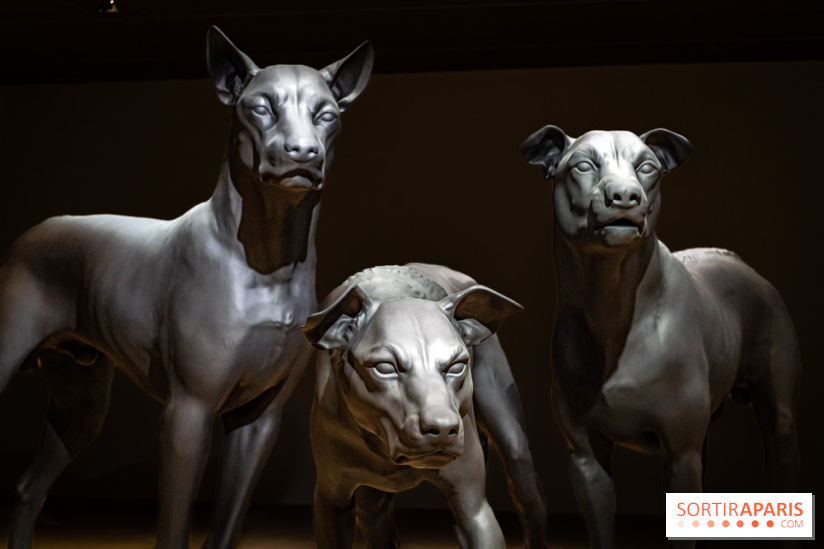 Exposition Ron Mueck à la Fondation Cartier 2023 -  A7C6437