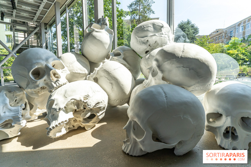 Exposition Ron Mueck à la Fondation Cartier 2023 -  A7C6358