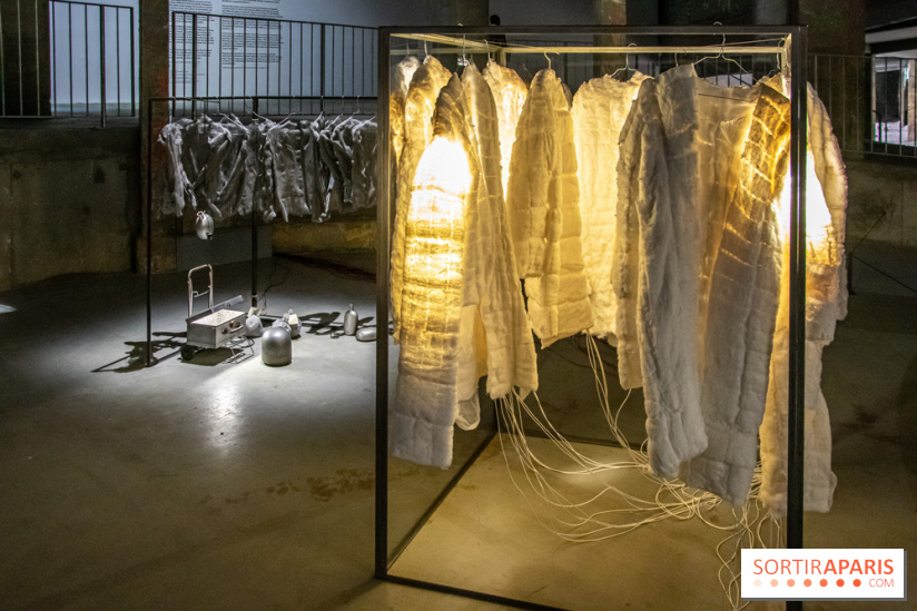 Expositions d'été au Palais de Tokyo Laura Lamiel