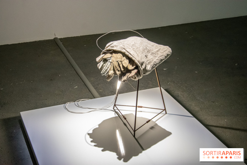 Expositions d'été au Palais de Tokyo Laura Lamiel