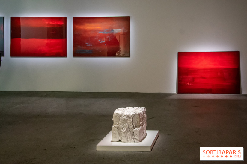 Expositions d'été au Palais de Tokyo Laura Lamiel