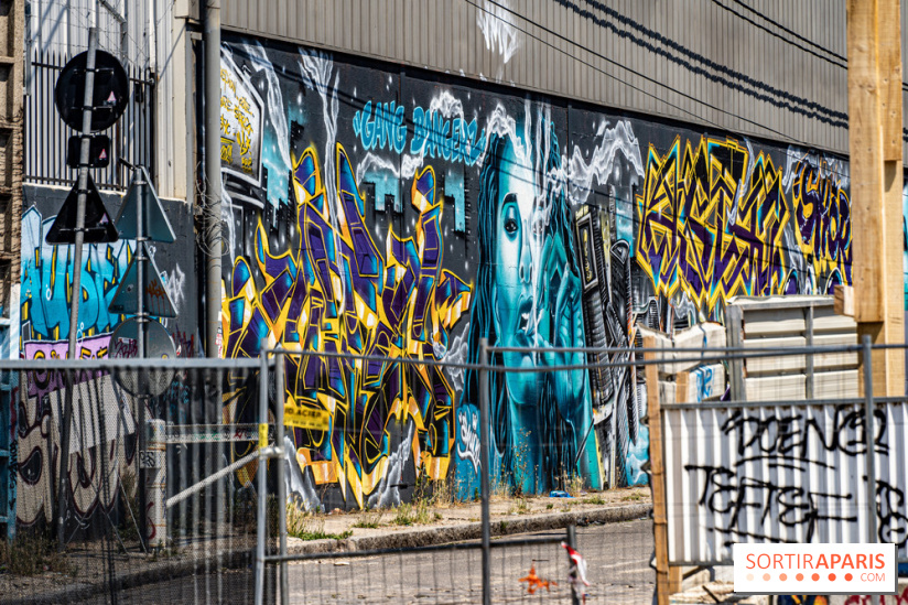 Street Art Avenue, l'expo street art le long du Canal Saint-Denis, d'Aubervilliers à Paris La Villette -  A7C6268