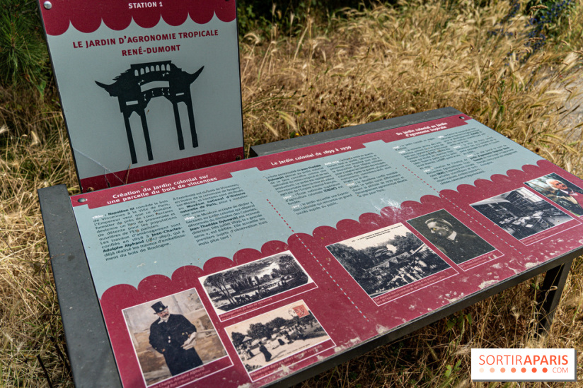 Jardin d'Agronomie Tropicale, le jardin exotique à Paris -  A7C6803