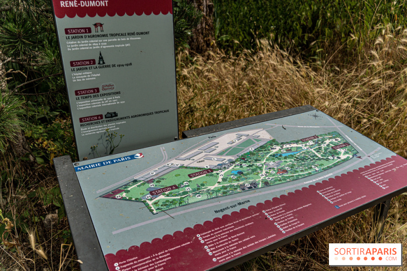 Jardin d'Agronomie Tropicale, le jardin exotique à Paris -  A7C6804