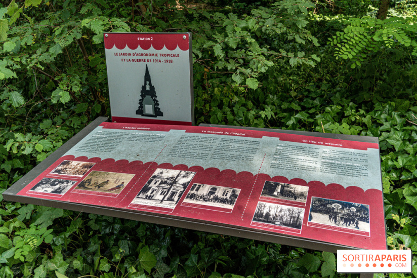 Jardin d'Agronomie Tropicale, le jardin exotique à Paris -  A7C6814