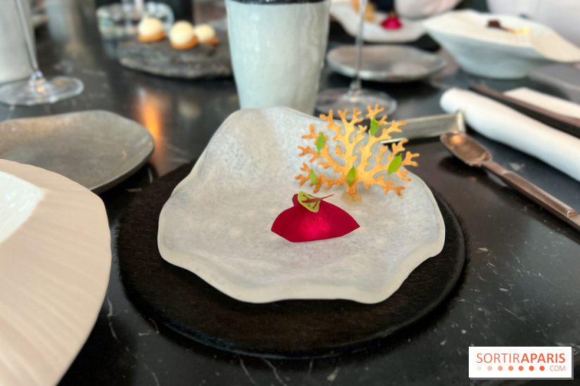 L'Ours - Amuse-bouche