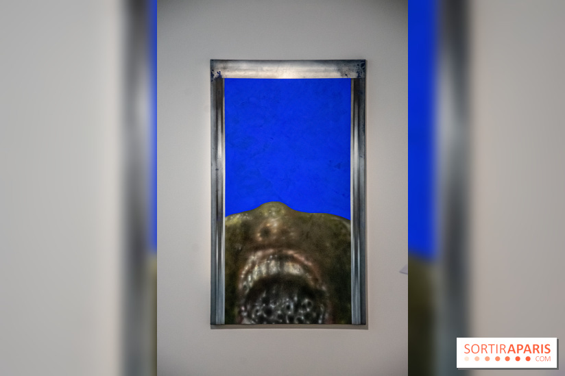 Exposition Pol Taburet Lafayette Anticipations Opera III : Zoo