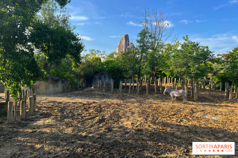 Nocturnes au Parc Zoologique de Paris - IMG 3495