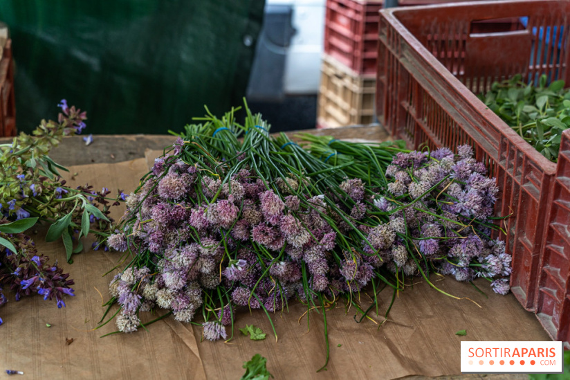 Escapade au Marché, le cours de cuisine du Ritz -  A7C5252